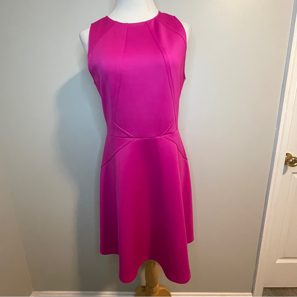 Ted Baker Hot Pink Dress Size 4